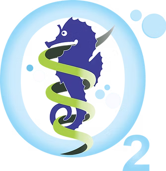 Undersea Oxygen Clinic